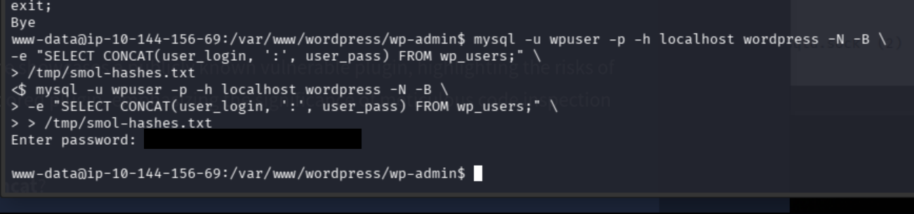 WordPress hash export with the echoed database password redacted